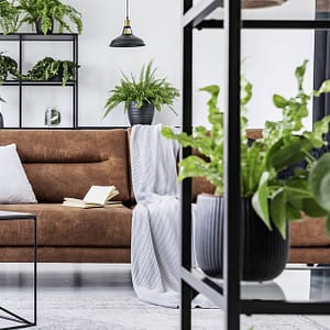 Interior Design And Home Decorating Online Course From Alpha Academy National Deal