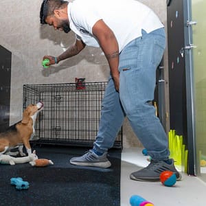 Pet Day Care At Six Pawz Pet Grooming Dubai