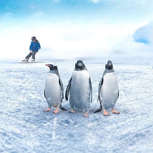 Ski Egypt Indoor Attractions