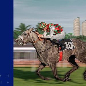 Purebred Arabian Grand Prix - Parade Ring  Abu Dhabi Turf Club