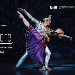 La Bayadere - Ballet at Dubai Opera - Shows and Theatrical Plays - Image 2