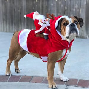 Pet Dog Christmas clothes Santa Claus riding a deer Jacket Coat Pets Christmas Dog Apparel Costumes for Big Dog Small Dog Pet Supplies