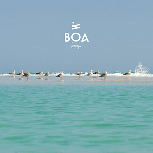 BOA The Beach in Jeddah  BOA The Beach