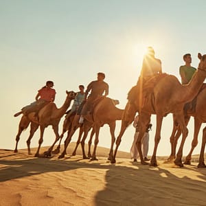 Camel Trekking Experience In Abu Dhabi With Transfers In Land Cruiser - Top-Rated Attractions - Image 3