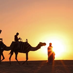 Overnight Red Dune Desert Safari with Dune Bashing, BBQ Dinner & Breakfast - Desert safaris - Image 3