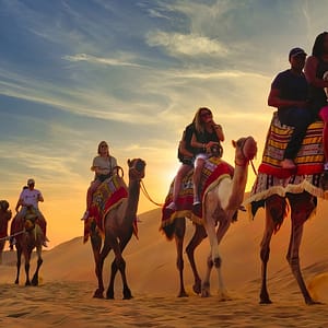 Premium Red Dunes Safari with Camel Ride & 3 Cuisines at Al Khayma Camp - Desert safaris - Image 2