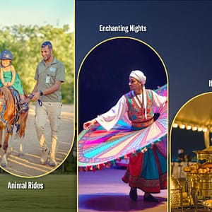 Ramadan Night at The Zoo in Abu Dhabi - Ramadan - Image 3