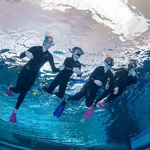 Snorkeling at Deep Dive Dubai at Deep Dive Dubai