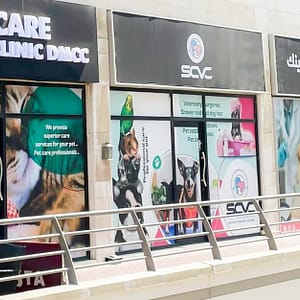 Cat And Dog Check Up And Vaccinations Dubai