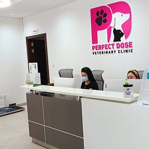 Cat Or Dog Annual Vaccination At Perfect Dose Veterinary Clinic Dubai