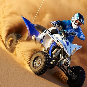 Camel Riding & Live Shows! Dubai