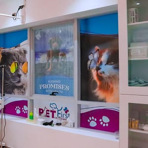 Dog / Cat Grooming From Best Veterinary Clinic In The Uae Award Winner Dubai