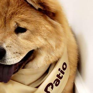 Grin