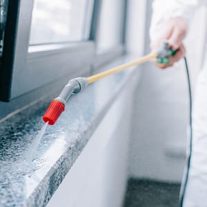 Pest Control Service - Rodent Dubai