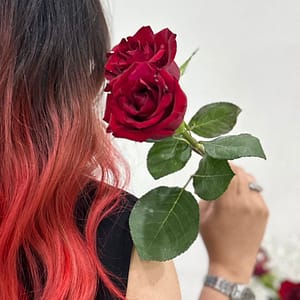 Blow Dry