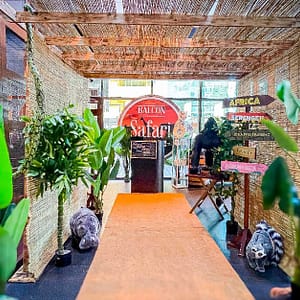 Adult (Aed 169) Abu Dhabi