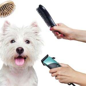 Treat Your Furry Friend To A Spa Day At Six Pawz Pet Grooming! Dubai
