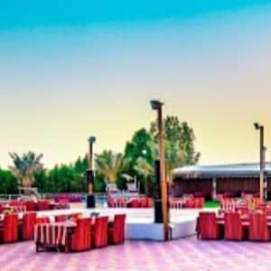 Vip Desert Safari With Pick-Up Sharjah & N. Emirates