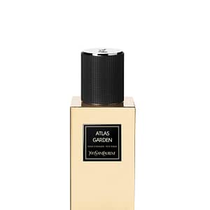 Atlas Garden - YSL Beauty