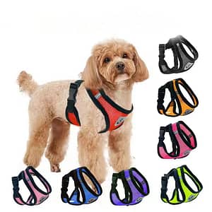 Dog Harness Leash Set for Small Dogs Adjustable Puppy Cat Harness Vest French Bulldog Chihuahua Pug Outdoor Walking Lead Leash Pet Supplies