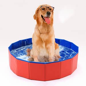 Foldable Dog Pool Collapsible Hard Plastic Dog Swimming Pool Portable Bath Tub for Pets Dogs and Cats Pet Wading Pool for Indoor and Outdoor Pet Supplies