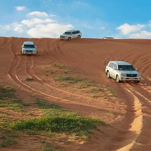 Desert Safari in RAK: Dune Bashing