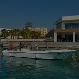 Explore the Marine World Fishing Trip Top-Rated Attractions