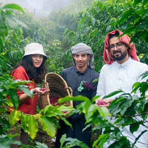 From Arabica to Arabian – Coffee Experience at a local farm Recently Added Experiences