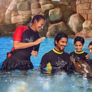 Sea Lion Experiences at Atlantis The Palm - Water Parks - Image 3