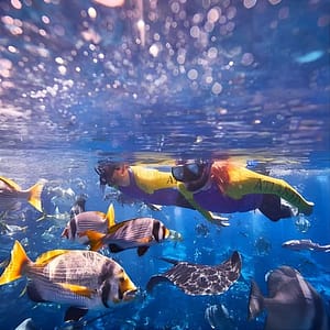 Dubai Lost Chambers Ultimate Snorkel Experience at Atlantis The Palm
