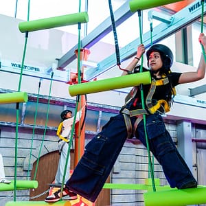 Exciting Canopy Trail For One