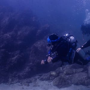 Experience Scuba Diving With Pool And Beach Dives! Dubai