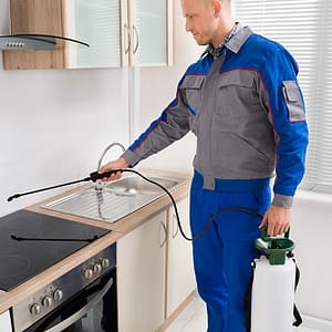 Pest Control Service Abu Dhabi