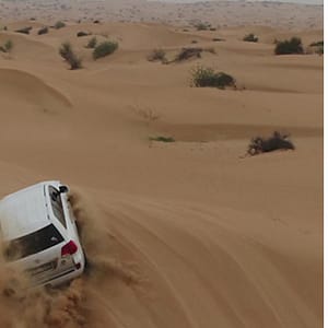 Tour - City Dubai