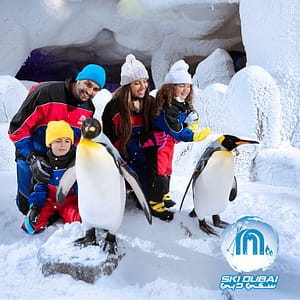 Ski Dubai: Snow Premium with Penguin Encounter  Mall of The Emirates