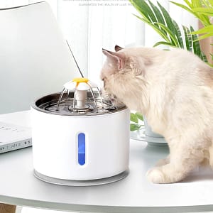 Pet Automatic Feeder Portion Control Digital Timer Detachable Dogs Cats Anti Slip 6 Meal Trays With Voice Recorder Dry Wet Food Pet Supplies