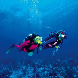 Antalya Diving Tour With Lunch And Transfer Recently Added Experiences