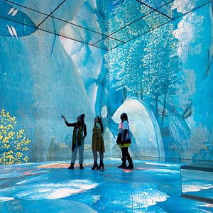 Frameless - Immersive Art Experience London Top-Rated Attractions