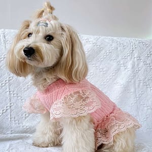 1pc Adorable Solid-colored Pet Flying Sleeve Dress: Breathable Loungewear Dogs & Cats - Perfect for Summer Parties Pet Supplies