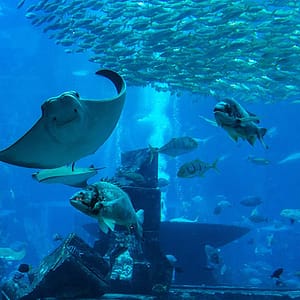 Oman Aquarium - Experiences - Image 2