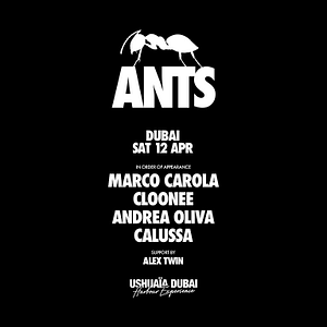 ANTS at Ushuaïa Dubai Harbour Experience Nightlife