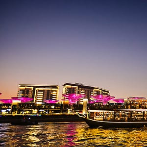 Dinner Cruise In Dubai Marina - Boat Tours and Cruises - Image 2