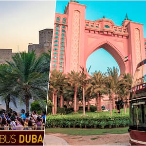 Dubai Hop On Hop Off Tour by Big Bus Tours - Sightseeing and Tours - Image 3