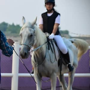 45-Minute Horse Riding Lesson Dubai