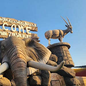 Unleash Adventure: Zoo Entrance + 2 Exciting Activities For 1 Or 2! Abu Dhabi