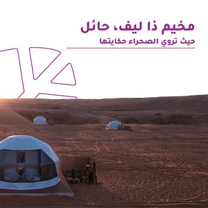 The Leaf Camp - Hail - Outdoor Attractions - Image 2