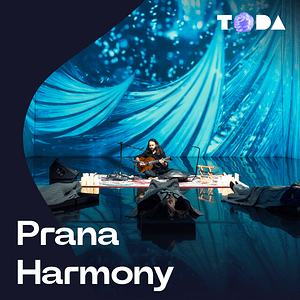 ToDA - Prana Harmony  Theatre of Digital Art