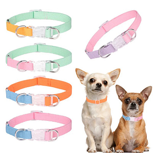 NEW Macaron collar color pet collar transparent insert buckle dog collar dog leash double D ring pull not easy to break Pet Supplies