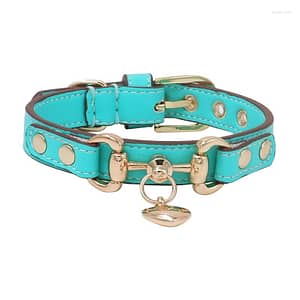 Dog Collars Handmade Customize Collar Leash Set Pet Accessories Stylish Color Aqua Green Cowhide Real Calfskin Cow Leather Drop Pet Supplies