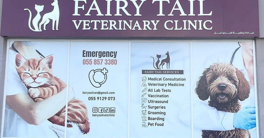 Grooming For Medium Dogs